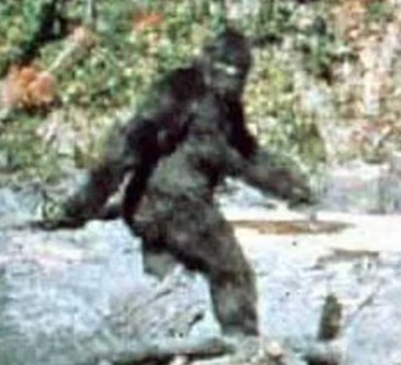 New Bigfoot Footage Doesn’t Solve the Patterson–Gimlin Film