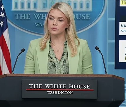 Ten Scientists. No Clear Answers. Why No Real Urgency?